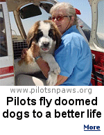 Pilots are donating their time, planes and fuel to transport dozens of dogs a month from overcrowded shelters where they face almost certain death.